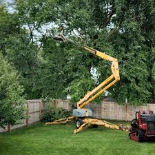 Best Leaf Removal  in Davenport, WA