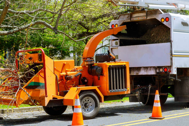 Best Seasonal Cleanup (Spring/Fall)  in Davenport, WA